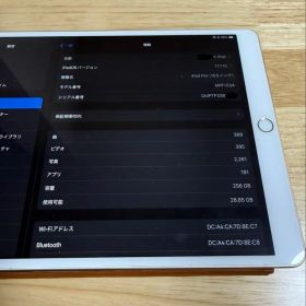 Apple iPad Pro 10.5インチ 本体