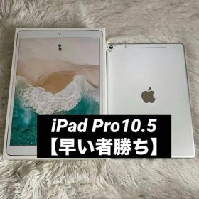 【箱付き】iPad Pro 10.5 256GB 【すぐ発送】【付属品】