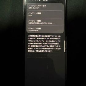 Galaxy z flip5 本体 256GB