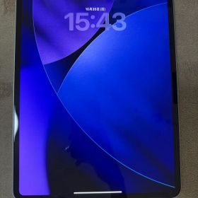 iPad Pro M4 13インチ 256GB Wi-Fiモデル