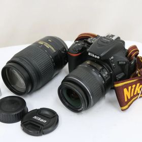【返品保証】 【シャッター10174回】ニコン Nikon D5500 DX AF-S NIKKOR 18-55mm 55-300mm デジタル一眼 T1172