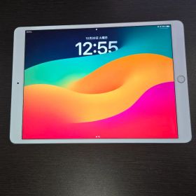 Apple iPad Pro 10.5インチ 本体 256gb セルラー