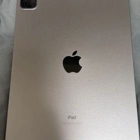 Apple iPad Pro 11インチ 第2世代 本体 (pencil付き)
